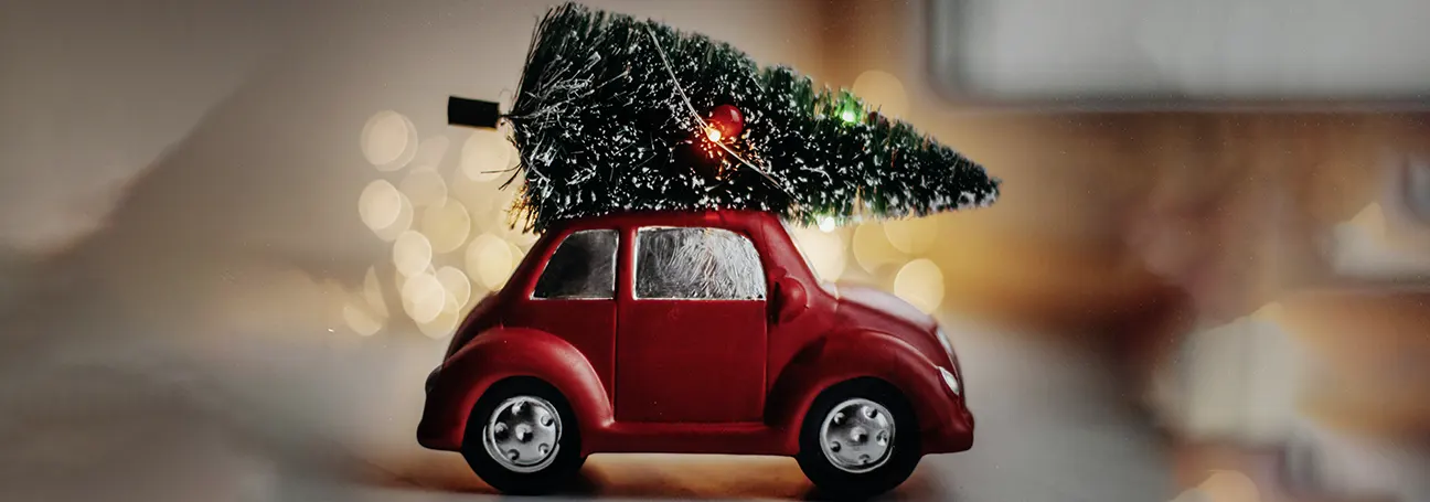 [Foto: Tannenbaum auf Auto]